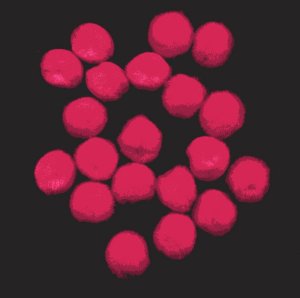 Pompoms 1/2" - Pink (Cerise) x 20
